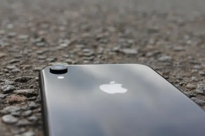 Casino Jungle Raja Aplicación móvil